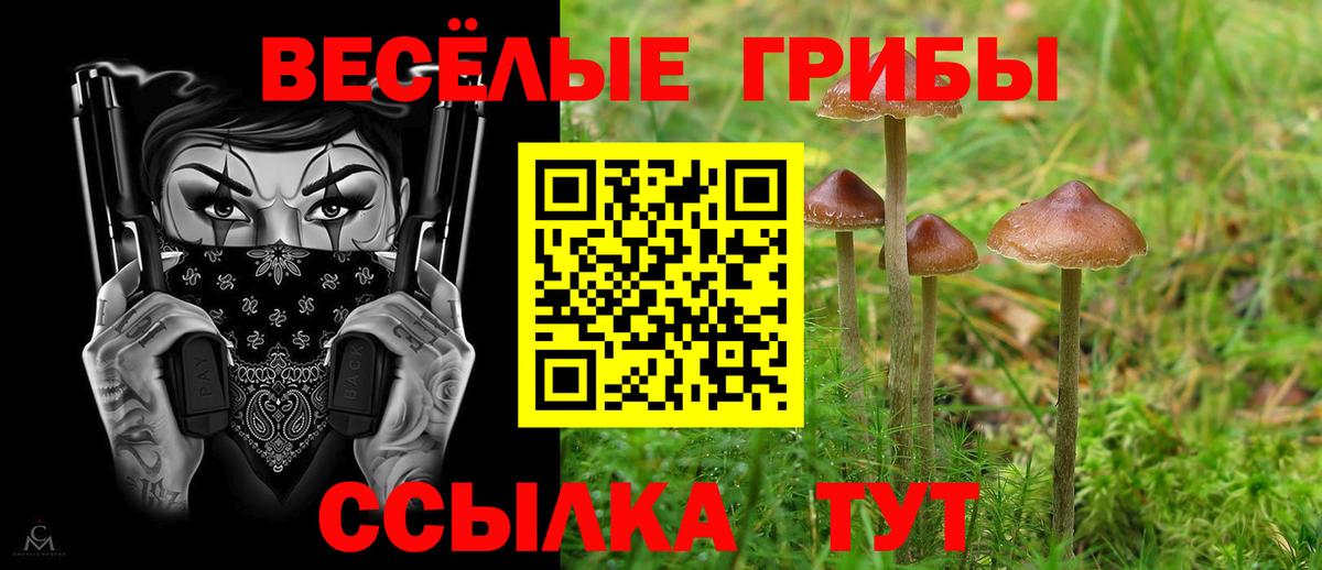 Псилоцибиновые грибы мухоморы Гагарин